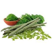 Moringa leaves